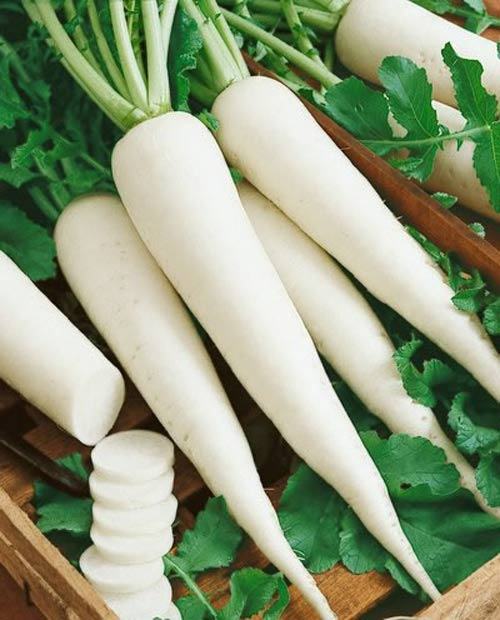 Củ cải trắng có tác dụng gì?