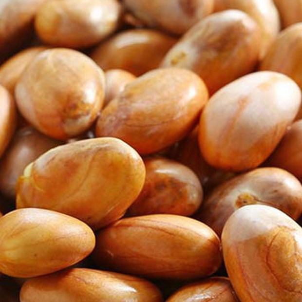 Tại sao ăn hạt mít lại xì hơi?