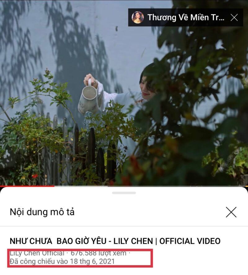 Lily Chen là ai