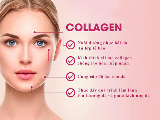 Collagen có tác dụng gì? Phân loại 4 nhóm collagen chính có trong cơ thể con người