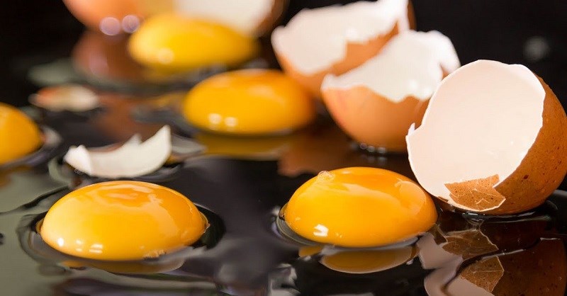Lợi ích của lòng trắng trứng là gì?