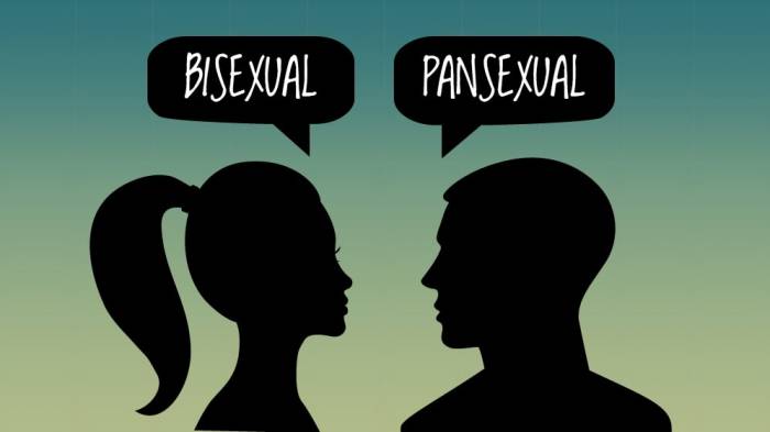 Pansexuality là gì?