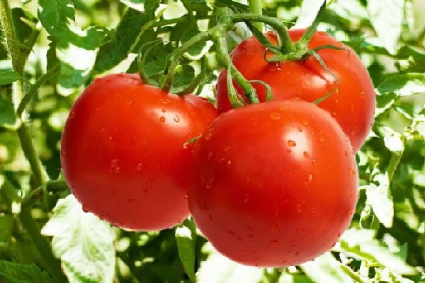 Cà chua có tác dụng gì