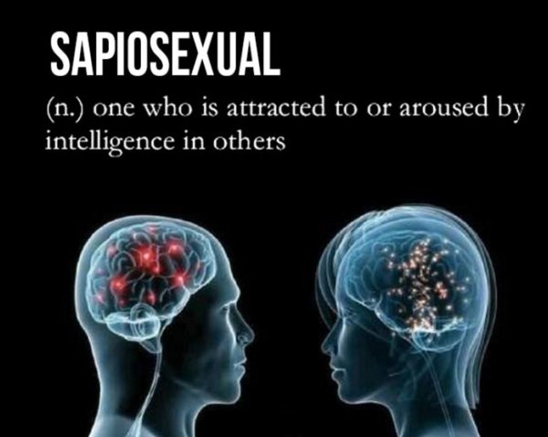 sapiosexual là gì 