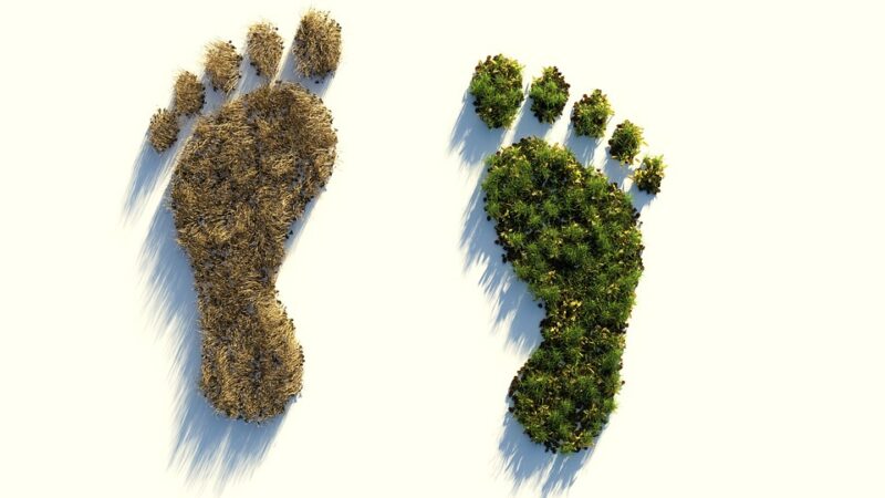 Footprint là gì?