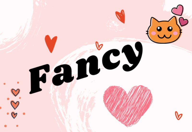 fancy-la-gi
