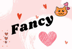 Fancy là gì? Giải mã từ A đến Z thông tin về trào lưu fancy