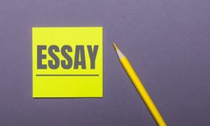 Essay là gì? 6 dạng bài phổ biến của essay mà bạn cần phải biết