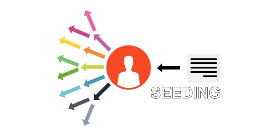 seeding là gì 