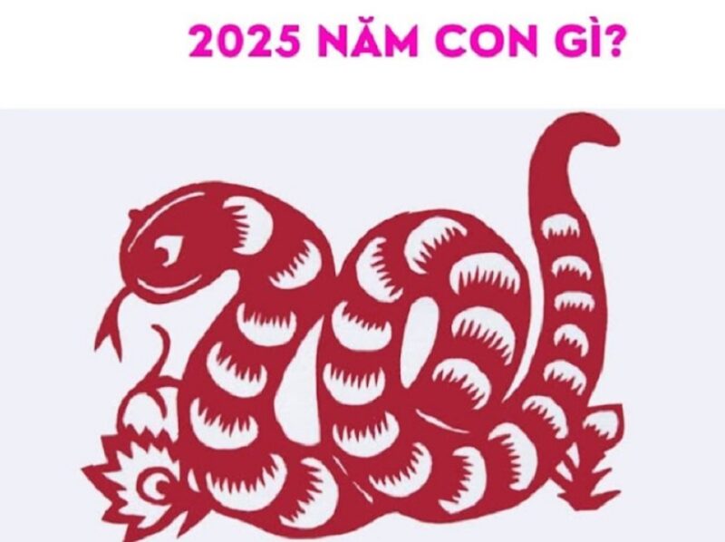 nam-2025-la-nam-con-gi