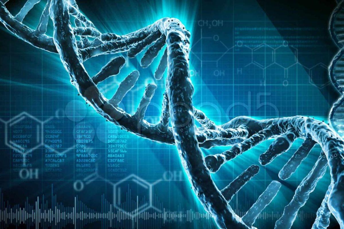 Ý nghĩa quá trình nhân đôi ADN